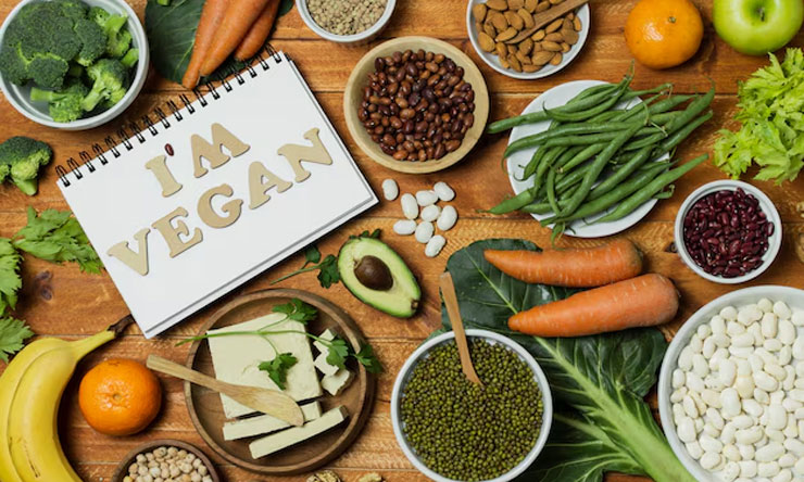 Diet Vegan